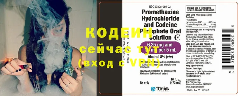 купить наркотики сайты  Гусь-Хрустальный  Кодеин напиток Lean (лин) 