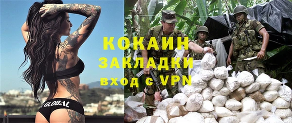 стаф Верея