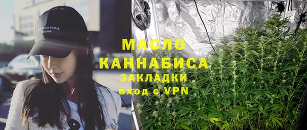 стаф Верея