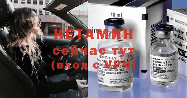 стаф Верея