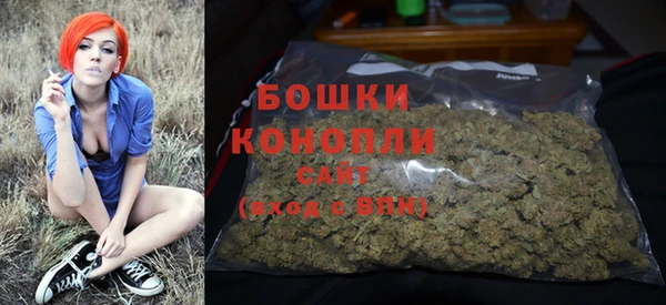 стаф Верея
