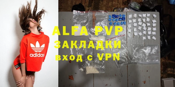 стафф Хадыженск