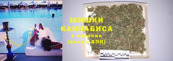 стаф Верея