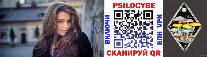 mega как войти  Гусь-Хрустальный  shop официальный сайт  как найти закладки  Псилоцибиновые грибы Cubensis 