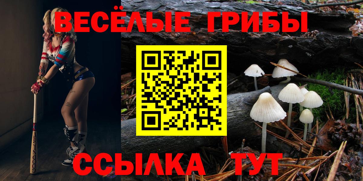 как найти закладки  Галлюциногенные грибы Cubensis  Гусь-Хрустальный  Галлюциногенные грибы мухоморы 